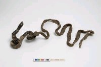 法索(法器)藏品圖，第1張